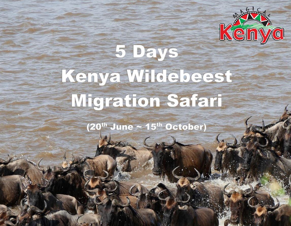 5 Days Kenya Wildebeest Migration Safari