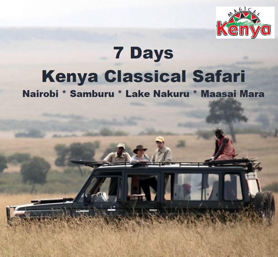 7 Days Classical Safari