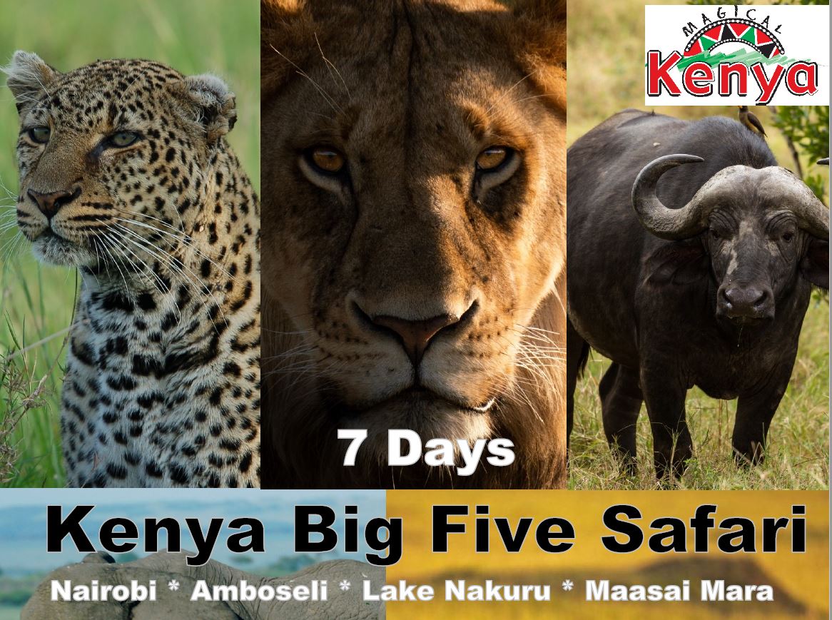 7 Days Kenya Big Five