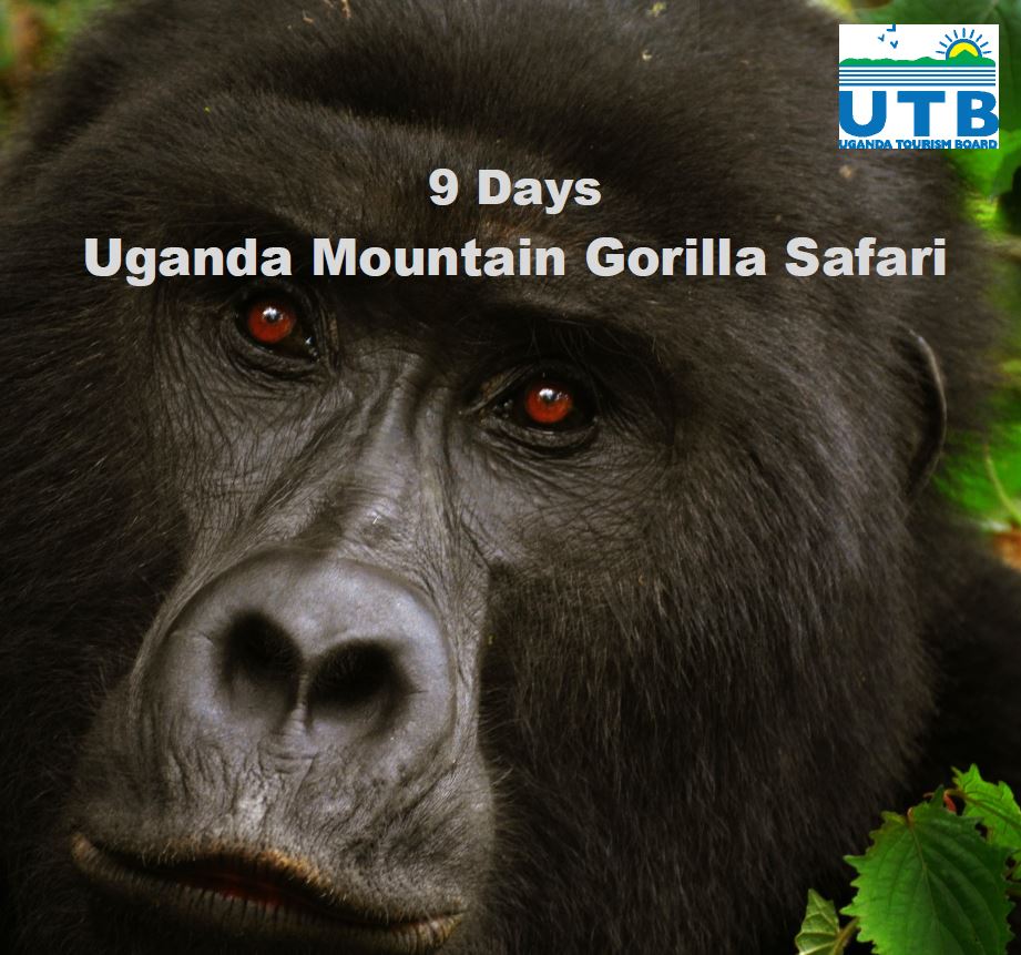 9 Days Uganda
