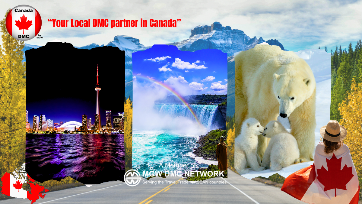 Profile DMC Canada Final Cover (1)