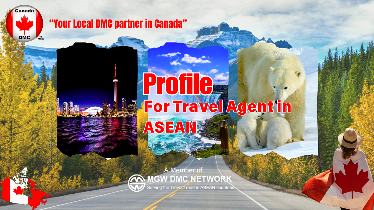 Profile DMC Canada Final
